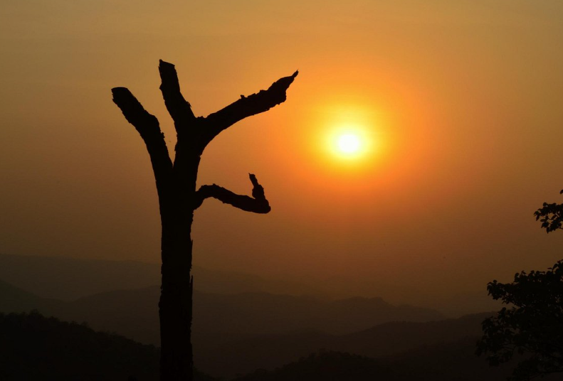 Magnolia Sunset Point, Netarhat, Latehar, Jharkhand - Vushii.com